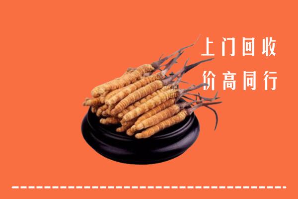 高价求购：贺州市回收散虫草