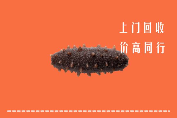 贺州市回收海参