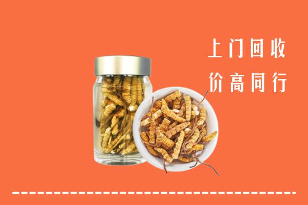 贺州市回收冬虫夏草
