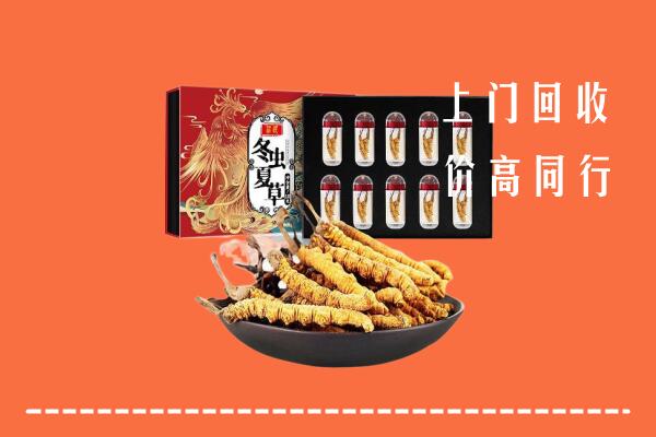 贺州市回收虫草